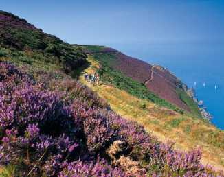 Exmoor_Coast.w.jpg